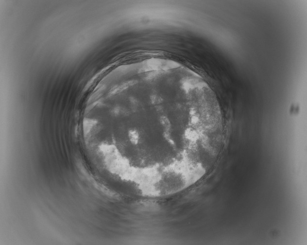 X0000113070194200910091216