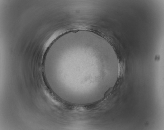 X0000113070195200910091216