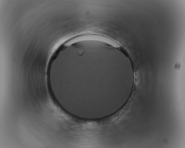 X0000113070196200910091216