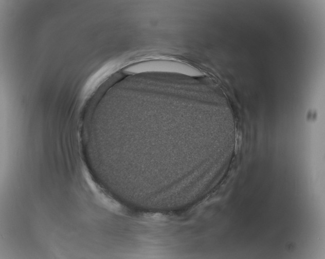 X0000113070197200910091216