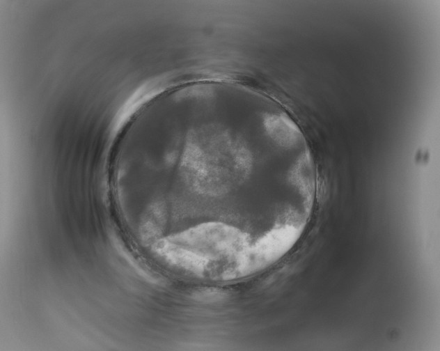 X0000113070198200910091216