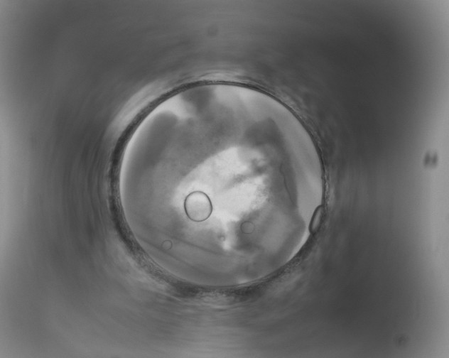 X0000113070199200910091216