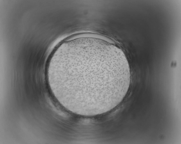X0000113070200200910091216