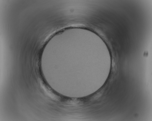 X0000113070201200910091216