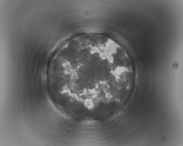 X0000113070202200910091216