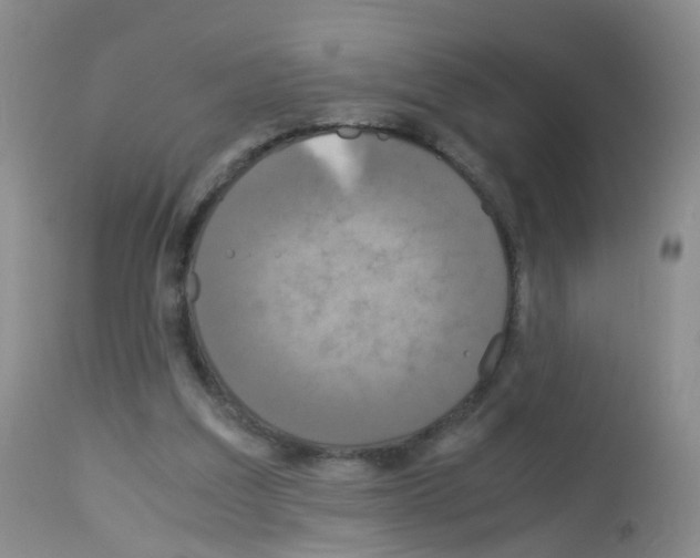 X0000113070203200910091216