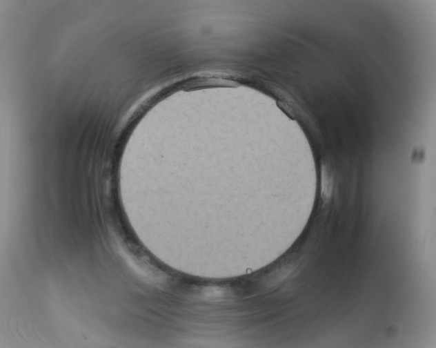 X0000113070204200910091216
