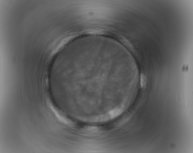 X0000113070205200910091216