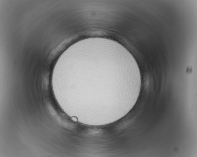 X0000113070206200910091216