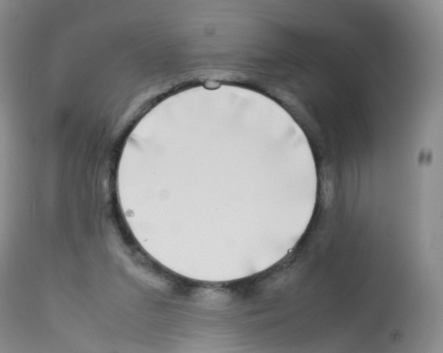 X0000113070207200910091215