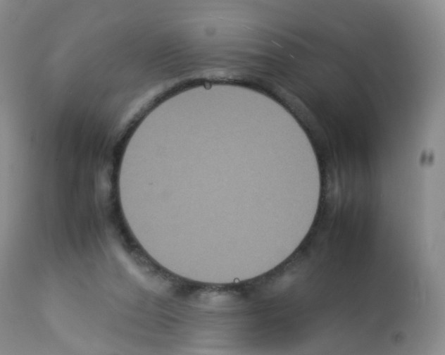 X0000113070208200910091215