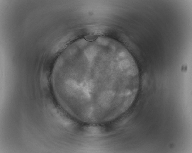 X0000113070209200910091215