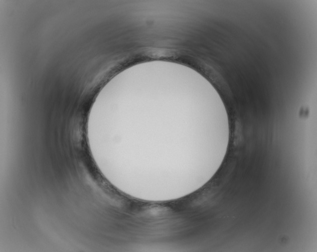 X0000113070210200910091215