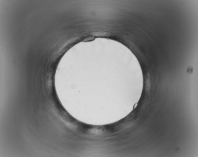 X0000113070211200910091215