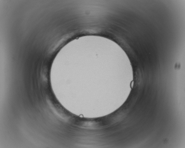 X0000113070212200910091215