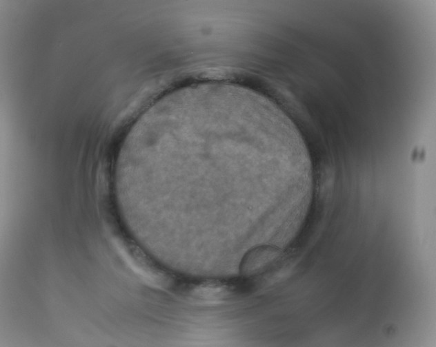 X0000113070213200910091215