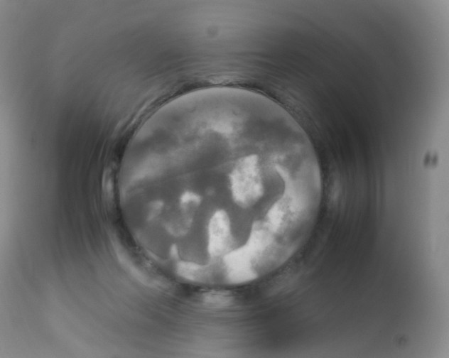 X0000113070214200910091215
