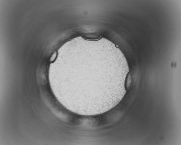 X0000113070215200910091215
