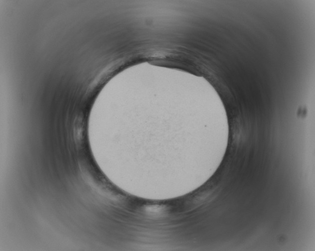 X0000113070216200910091215