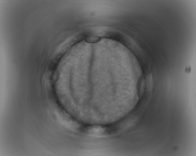 X0000113070217200910091215