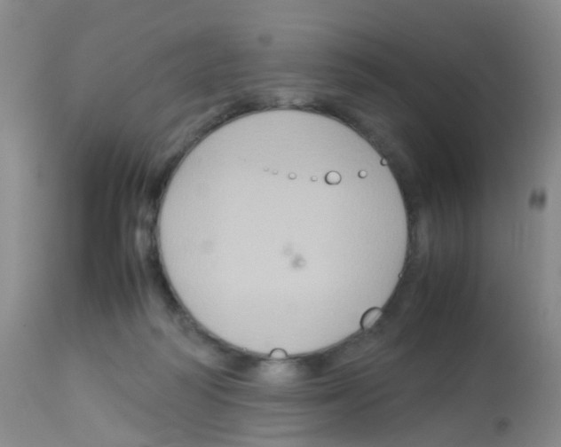 X0000113070218200910091215