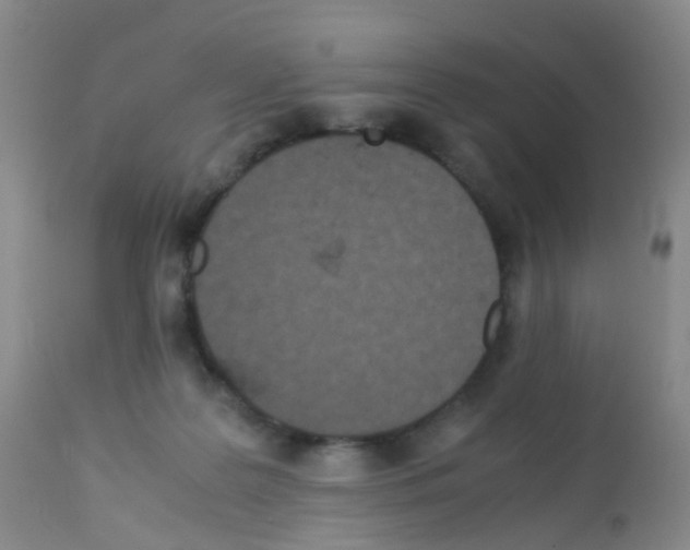 X0000113070219200910091215