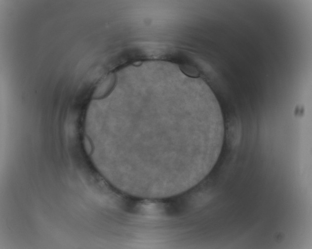 X0000113070221200910091215
