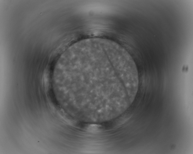 X0000113070222200910091215