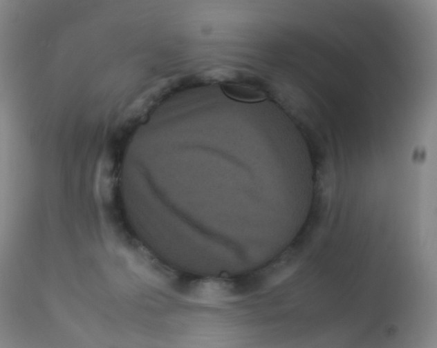 X0000113070223200910091215