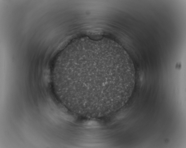 X0000113070224200910091215