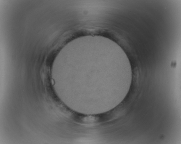 X0000113070225200910091215