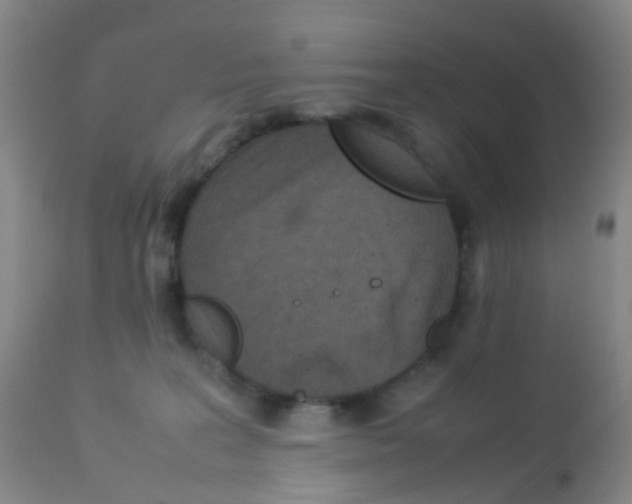 X0000113070227200910091215