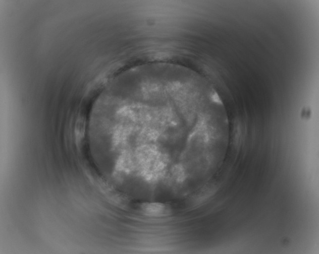 X0000113070230200910091215