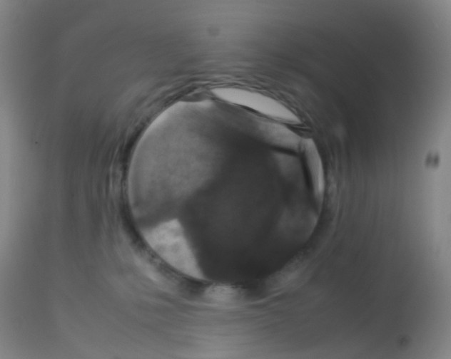 X0000113070231200910091215