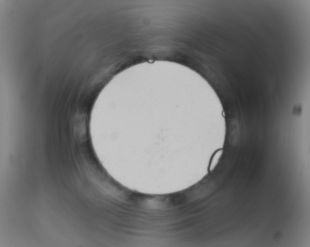 X0000113070232200910091215