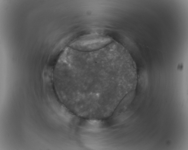 X0000113070233200910091215