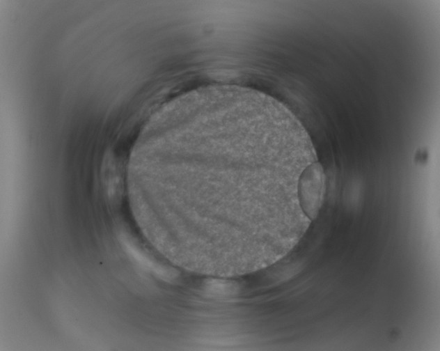 X0000113070234200910091215