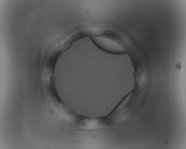 X0000113070235200910091215