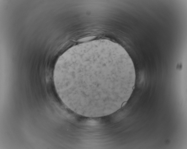 X0000113070236200910091215