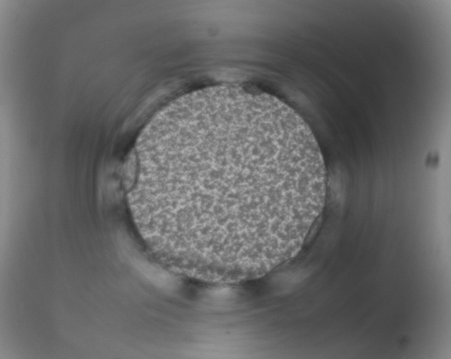 X0000113070237200910091215