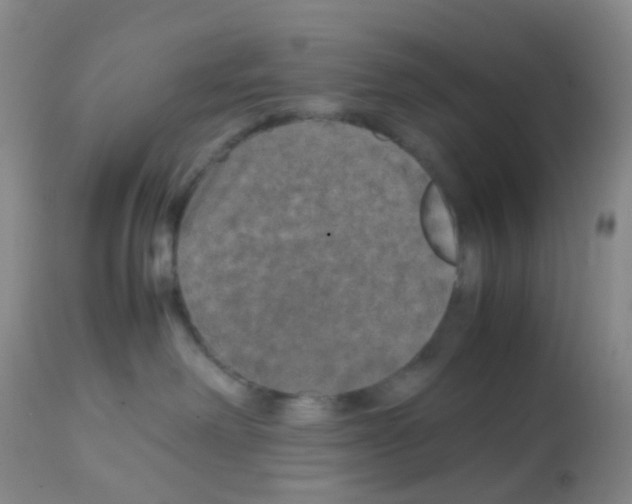 X0000113070238200910091215