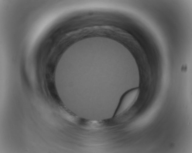 X0000113070239200910091215