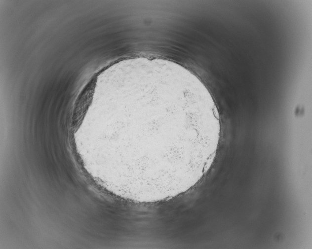 X0000113070241200910091214