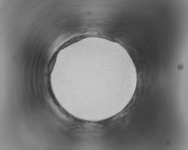 X0000113070242200910091214