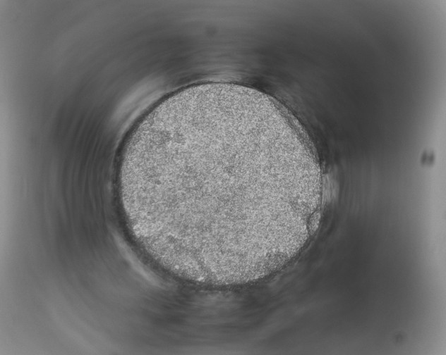 X0000113070243200910091214