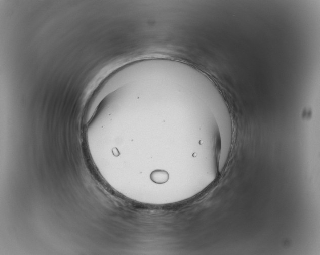 X0000113070244200910091214