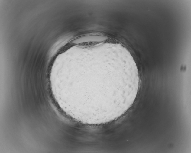 X0000113070245200910091214