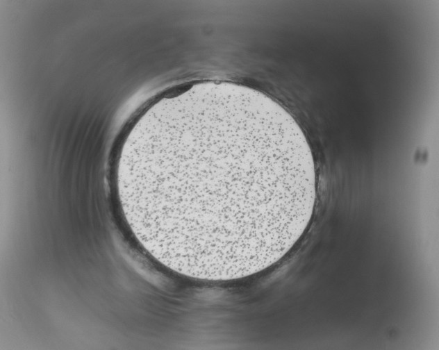 X0000113070246200910091214