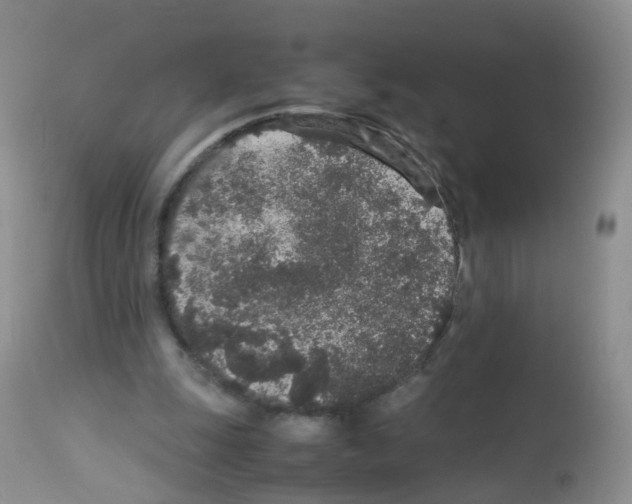 X0000113070247200910091214