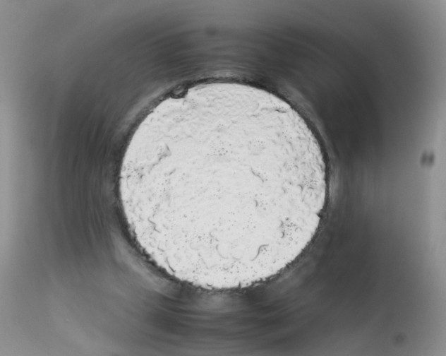 X0000113070249200910091214